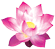 Onlineindiancards.com - Lotus Flower